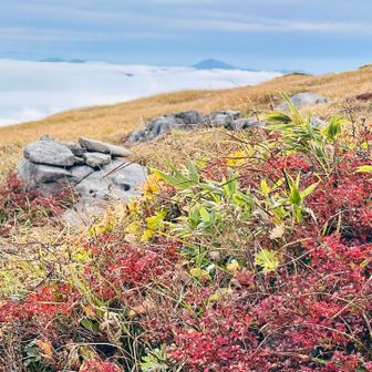 こちらは以東岳✨綺麗だな🍁