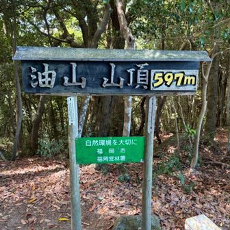 虫多し