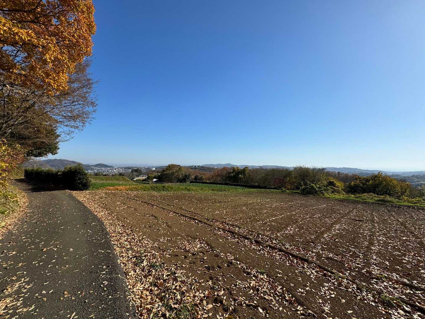 相模湾の方面。写っていませんが、江ノ島も良く見えていました。
