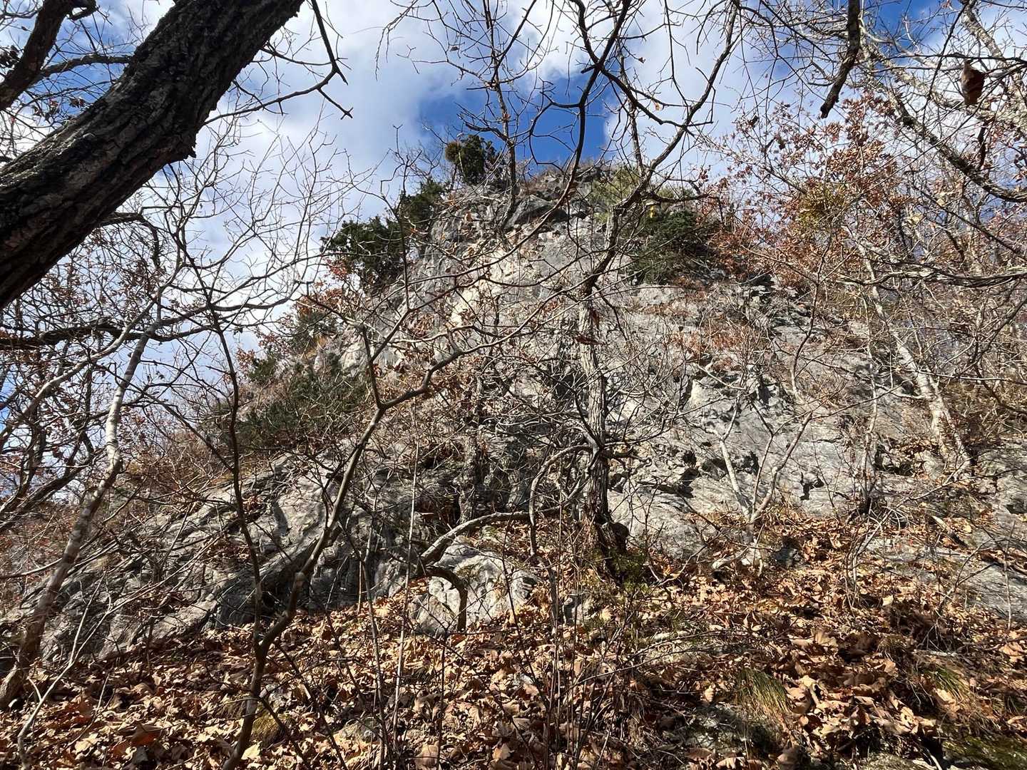 この山の特徴、白い岩が見えてきました。