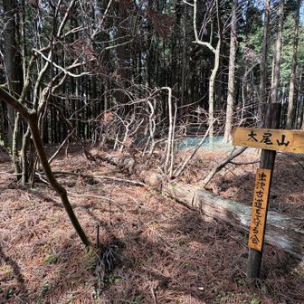 太尾山（標高 785）通過
