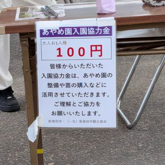 協力金はもちろん！
協力いたしました！
ホント、満開のアヤメに出会えて！
今日も儲けもんの日でした✨
