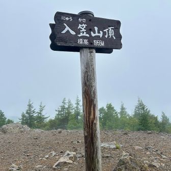 山頂