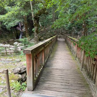 上に行くほど綺麗な滝が現れます。