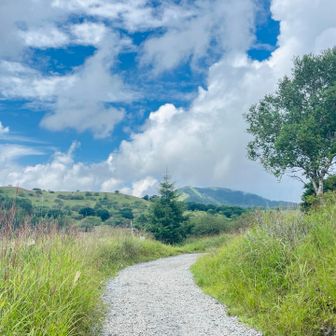 沢渡(？)のあたりからは平坦で歩きやすい道となりました。