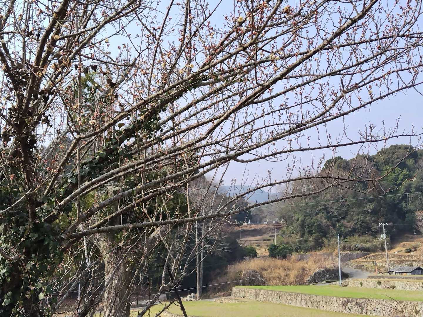 観音岳 往復コースの写真