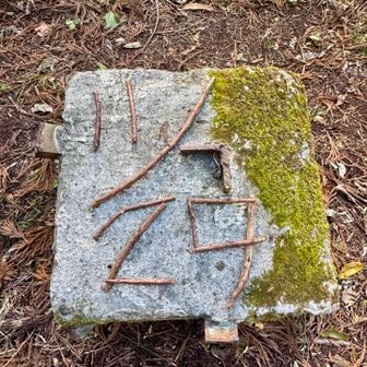 花沢山にも日付が🪵