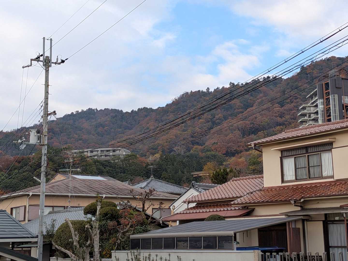 まだ紅葉🍁あるねぇ
