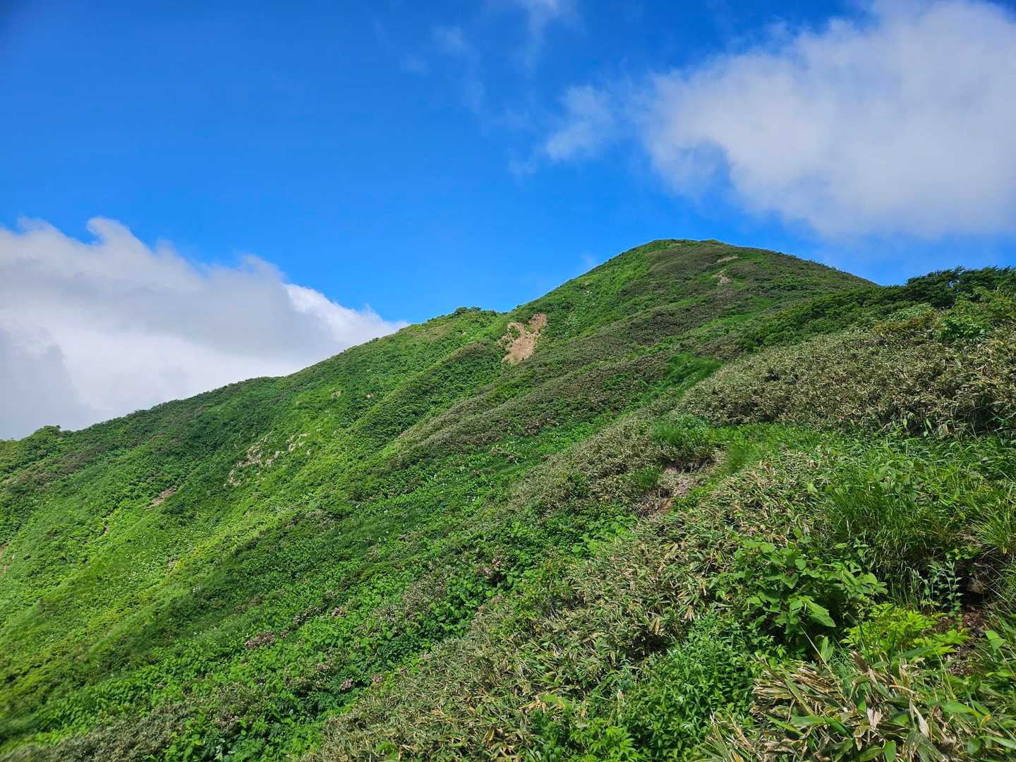 小股山へ