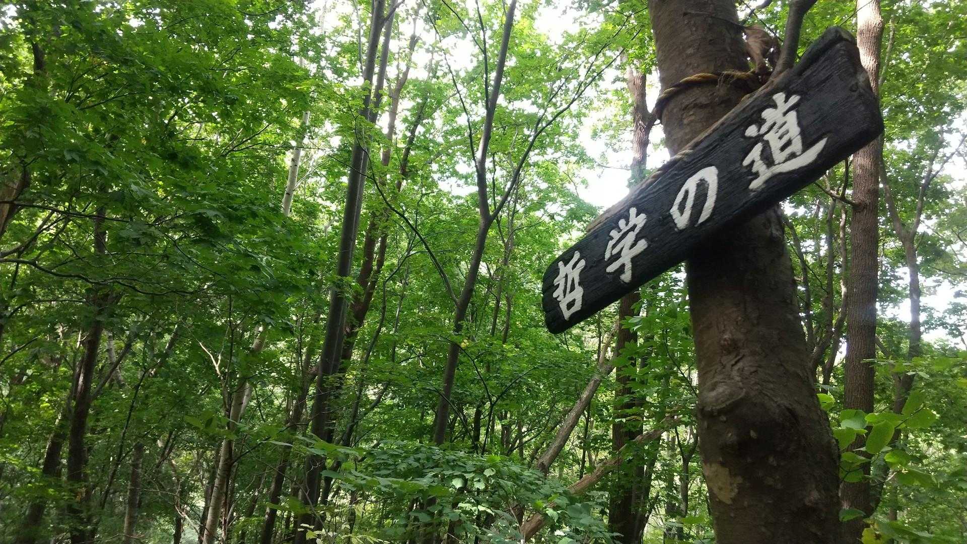 山の手入口-三角山 往復コースの写真