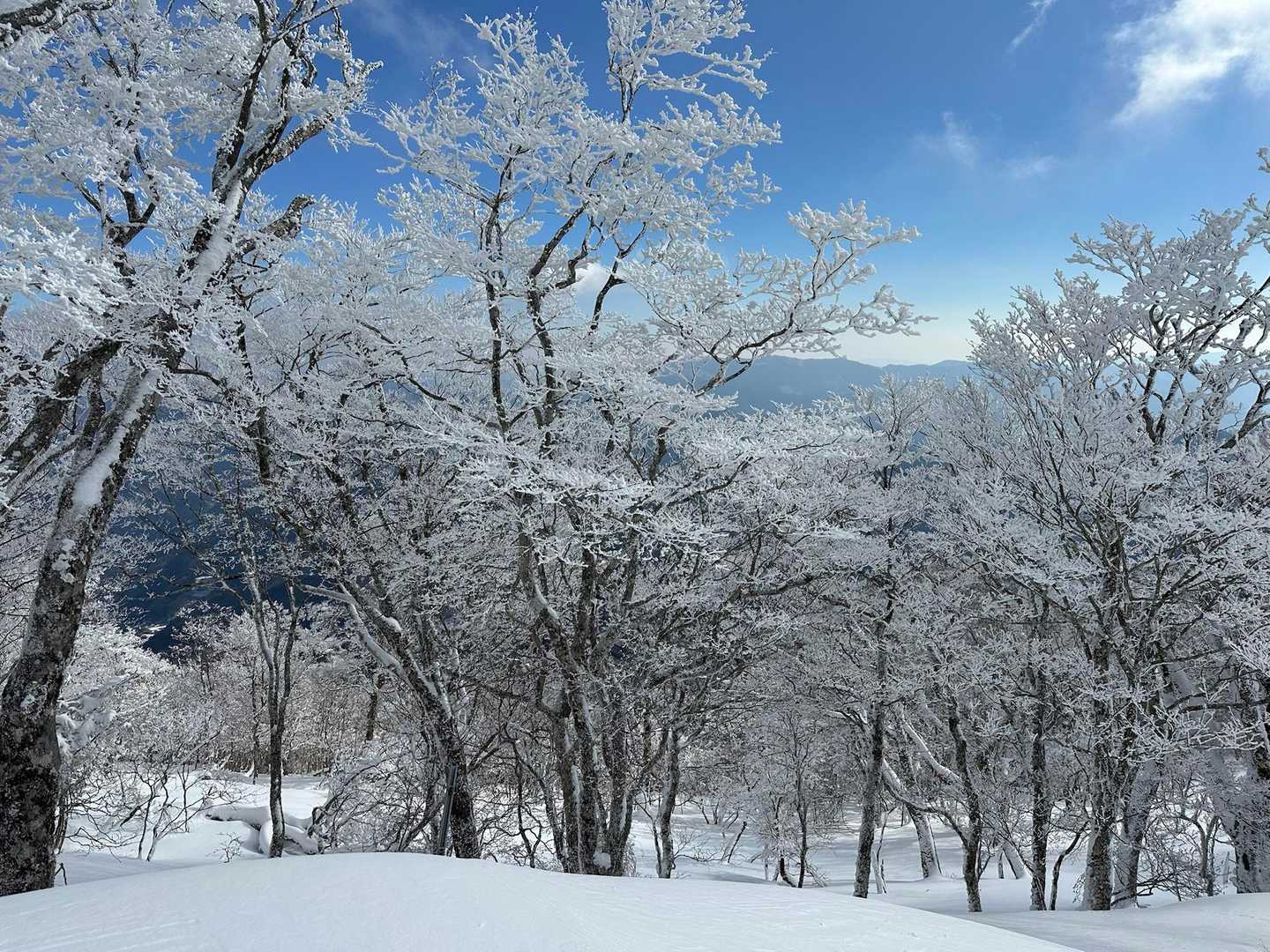 美しすぎて、ため息がでる🥰