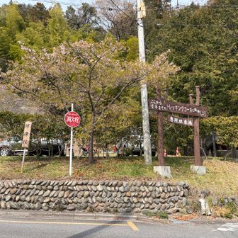 ときがわ町の巨木と歴史巡り。桜も咲き始め、春の訪れを感じながら里山歩きを楽しんだ。