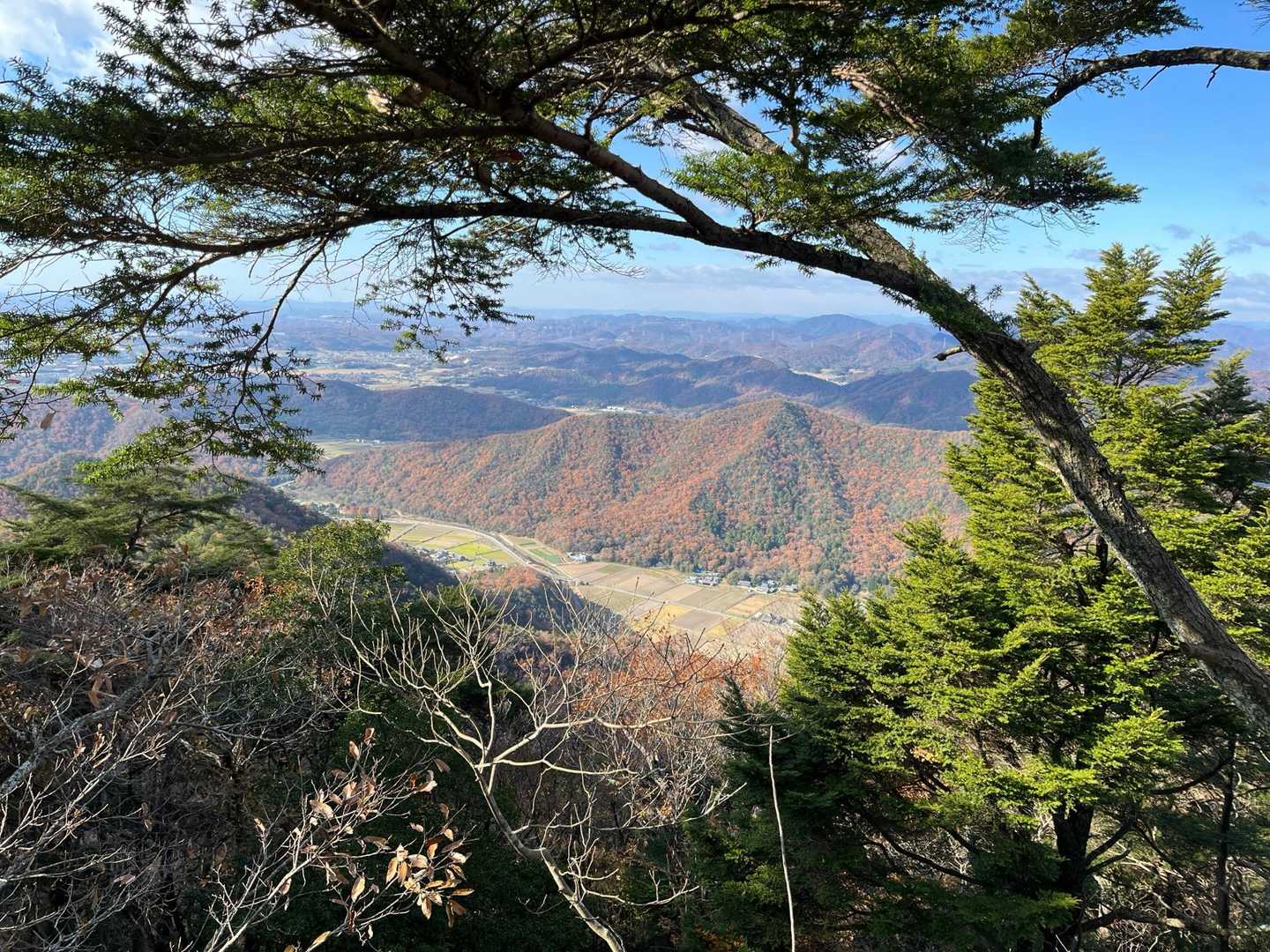 千丈寺山 往復コースの写真