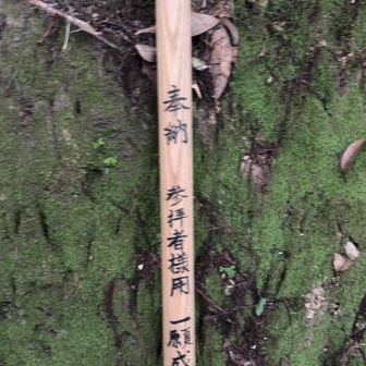 こんなとこに杖が