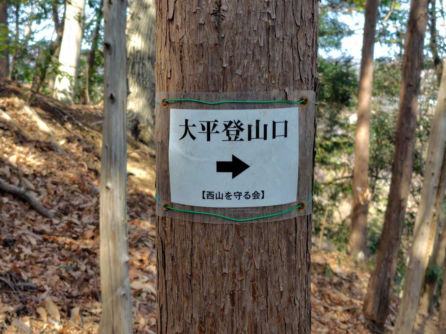 「西山を守る会」によって山道と共に各所の標識も整備されている💡
