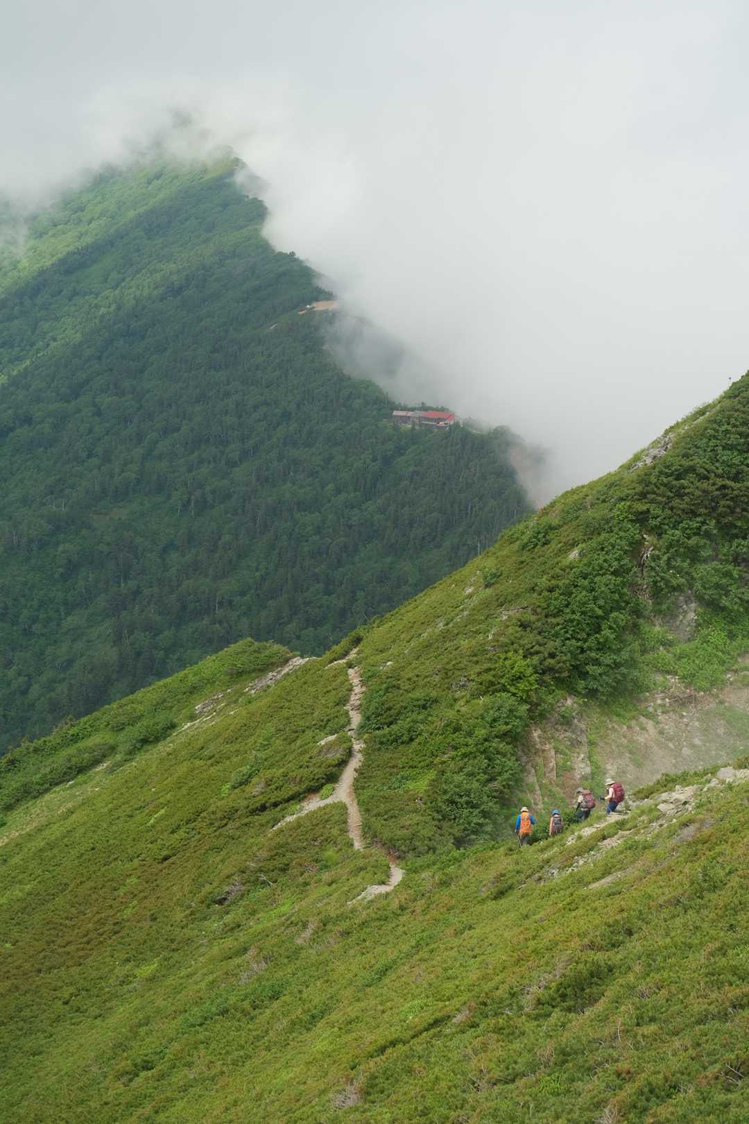 柏原新道登山口-爺ヶ岳-爺ヶ岳 縦走コースの写真