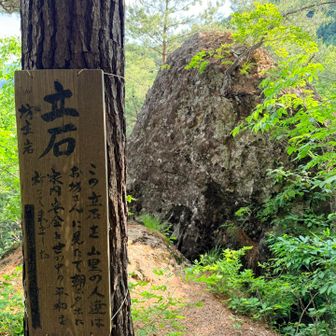 お坊さんに見立てるって面白い