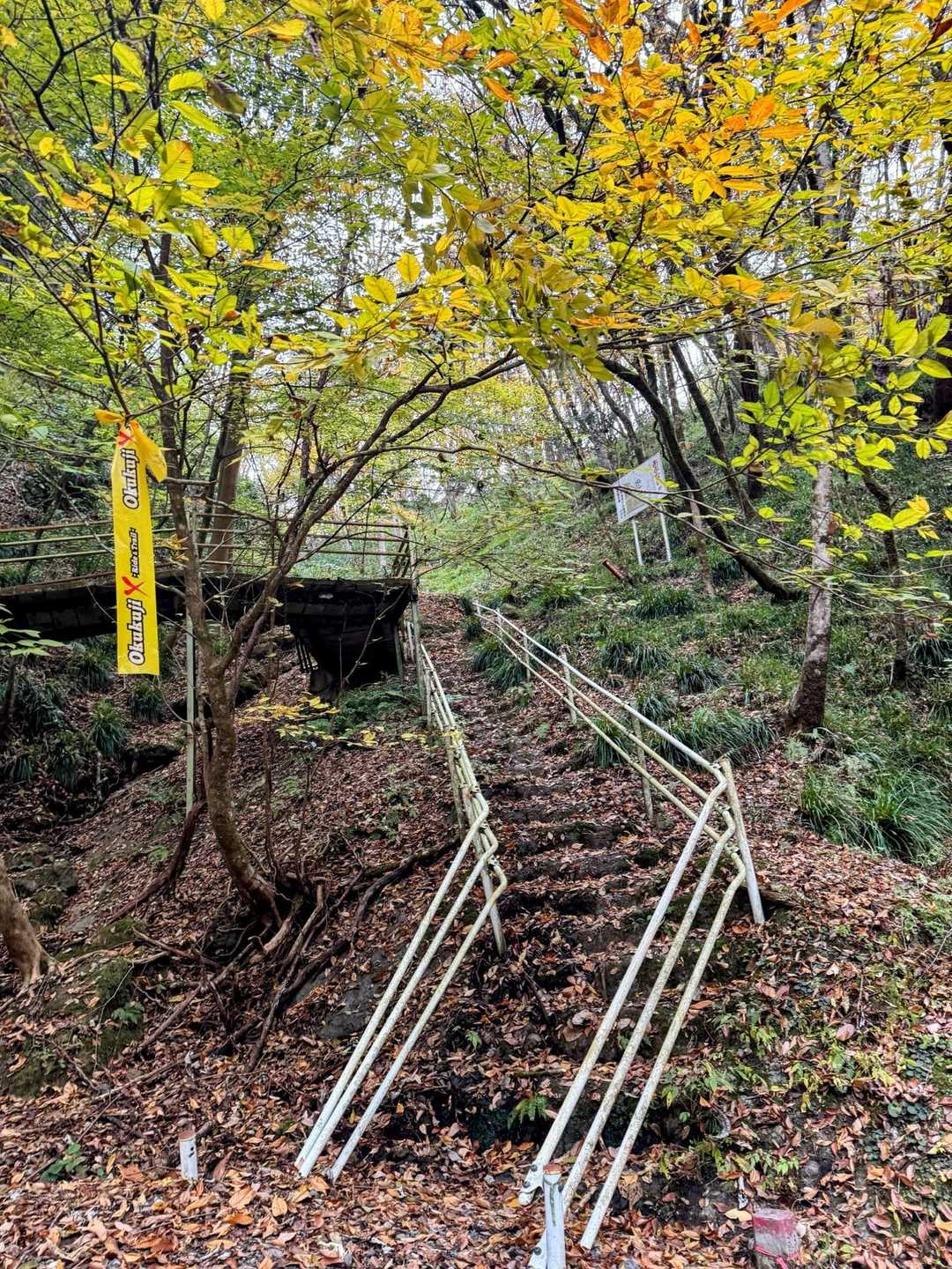 亀ケ淵までは林道歩きでしたが、ここから登りです