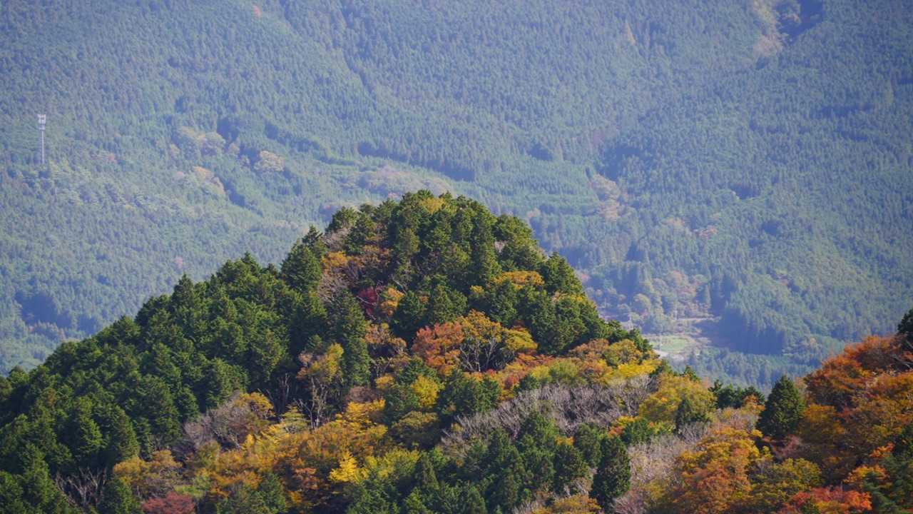 一ノ峰山頂