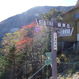 最後の急登を下った
夏沢鉱泉で休憩
元気な若い山ガール３名とイロイロ話を
