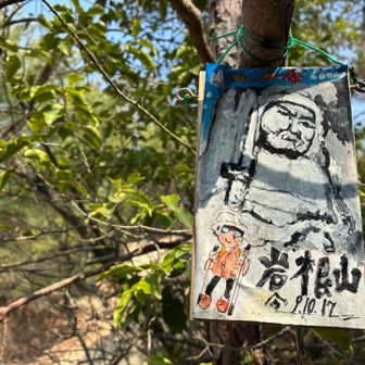 レアな標識見つけちゃいました✨
以下、推測になりますが、
十二坊コースにある磨崖仏でしょう。
油絵のようなリアリティのあるタッチ、
左のストックを持った男性は作者さんのサインイラストでしょうか☝️