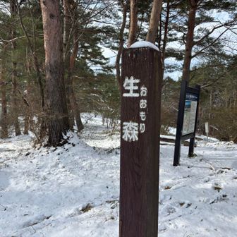 七ツ森の最高峰 生森タッチ🖐️
いけもり、ではなく、おおもりと読むんだ❗️