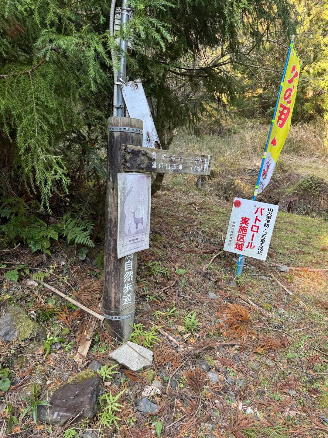 さっ‼︎頑張って登ります〜