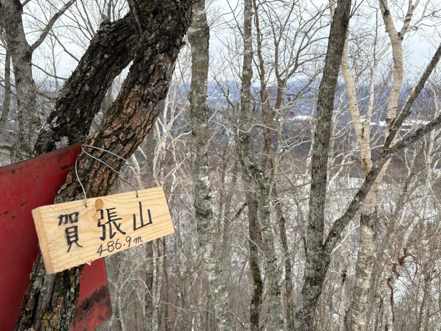 景色もナシ