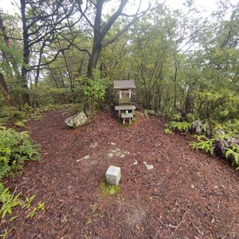 山頂は祠があっていいスペースになっています
