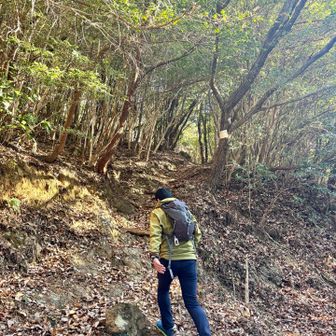 登り慣れた道をいきます