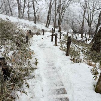 早い時間はチェンスパあった方が良いです