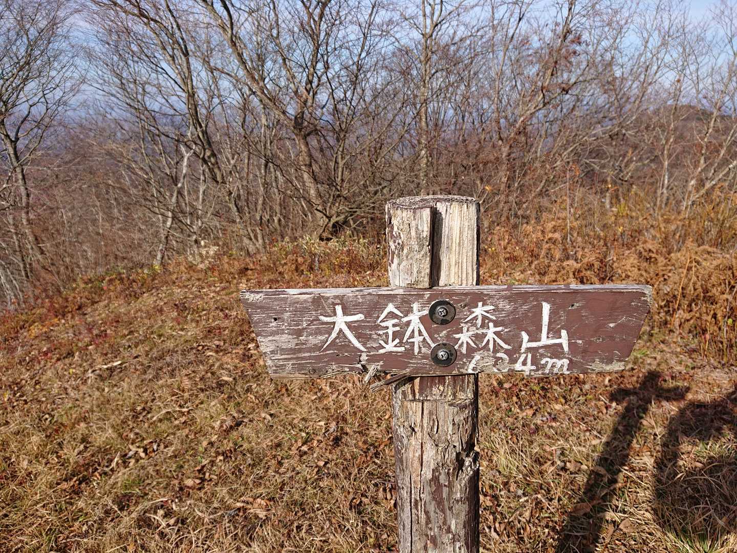これで80座‼️