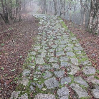 雨で石畳滑るんで横の地面で