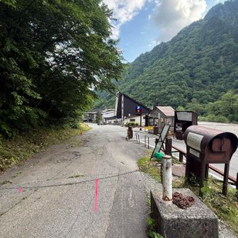 やっと