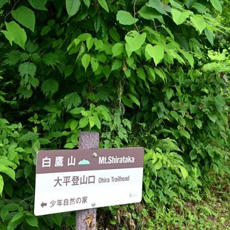 無事下山
雨降らず良かった