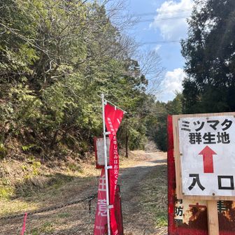 平日やし、昨日よりは人も少ないね
軽装な方がほとんど