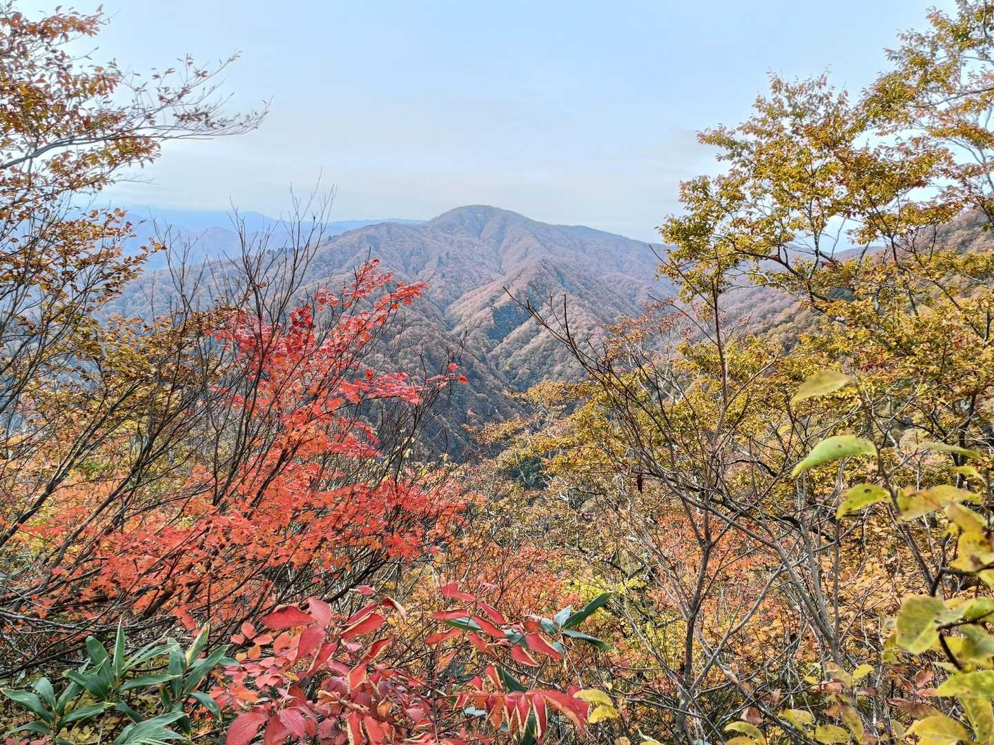 越前下山駅-荒島岳-荒島岳登山口 縦走コースの写真