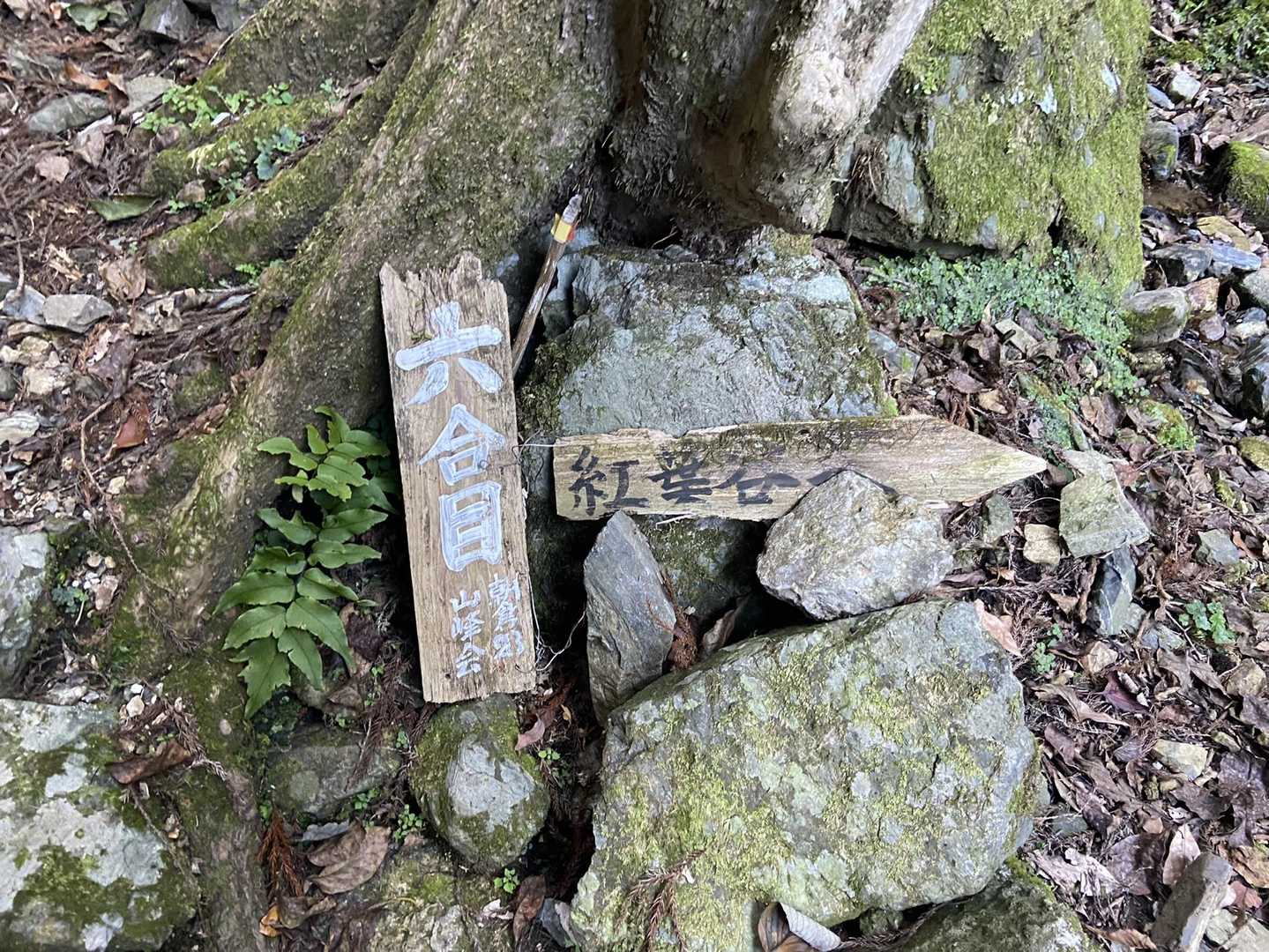 五合目登山口 往復コースの写真