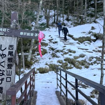 さて、ここから向かうよ