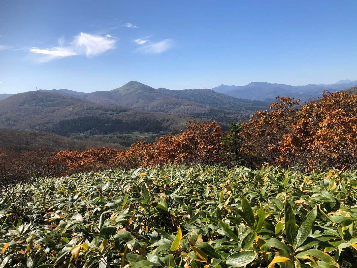 佐幌岳登山口-桜山-佐幌岳 往復コースの写真