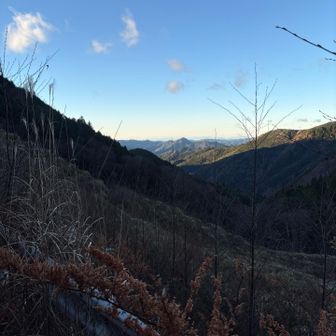 快晴でテンション⤴️
