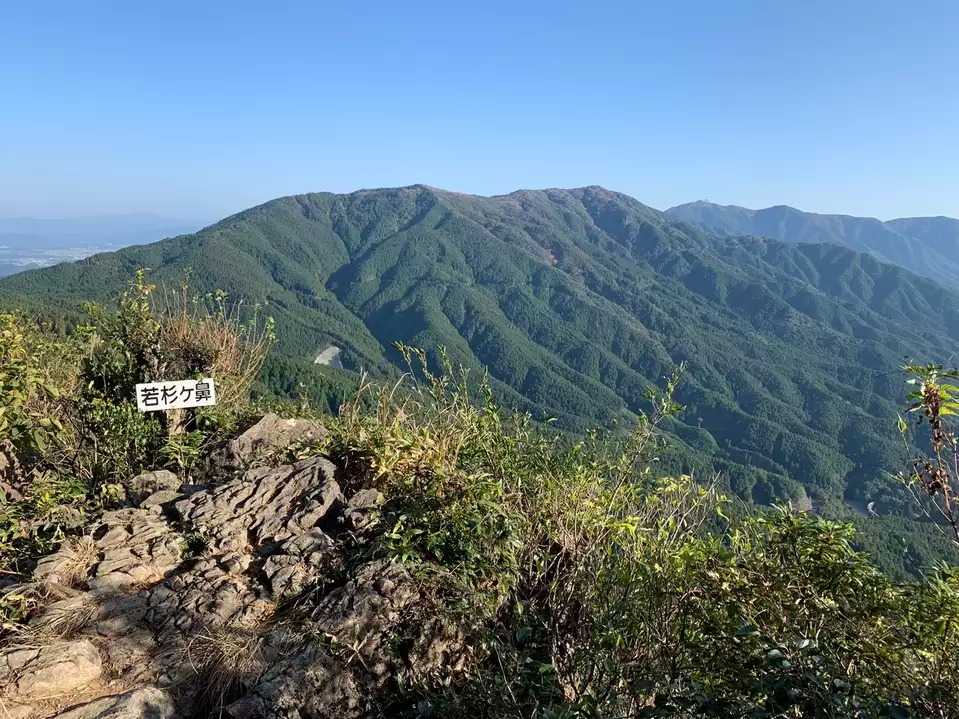 若杉山の写真