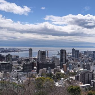 港が近くなってきた😌