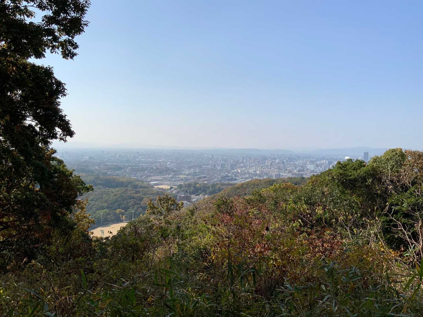 いい景色。