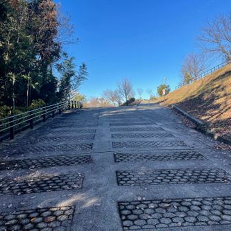 舗装道を登り返すと