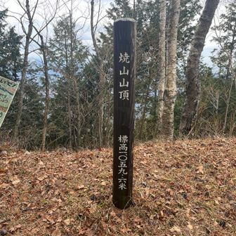 焼山到着✌️

姫次を過ぎた辺りから天候は徐々に回復してきました。