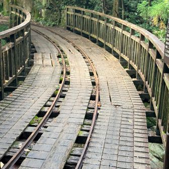 で、登山道から線路に合流！
