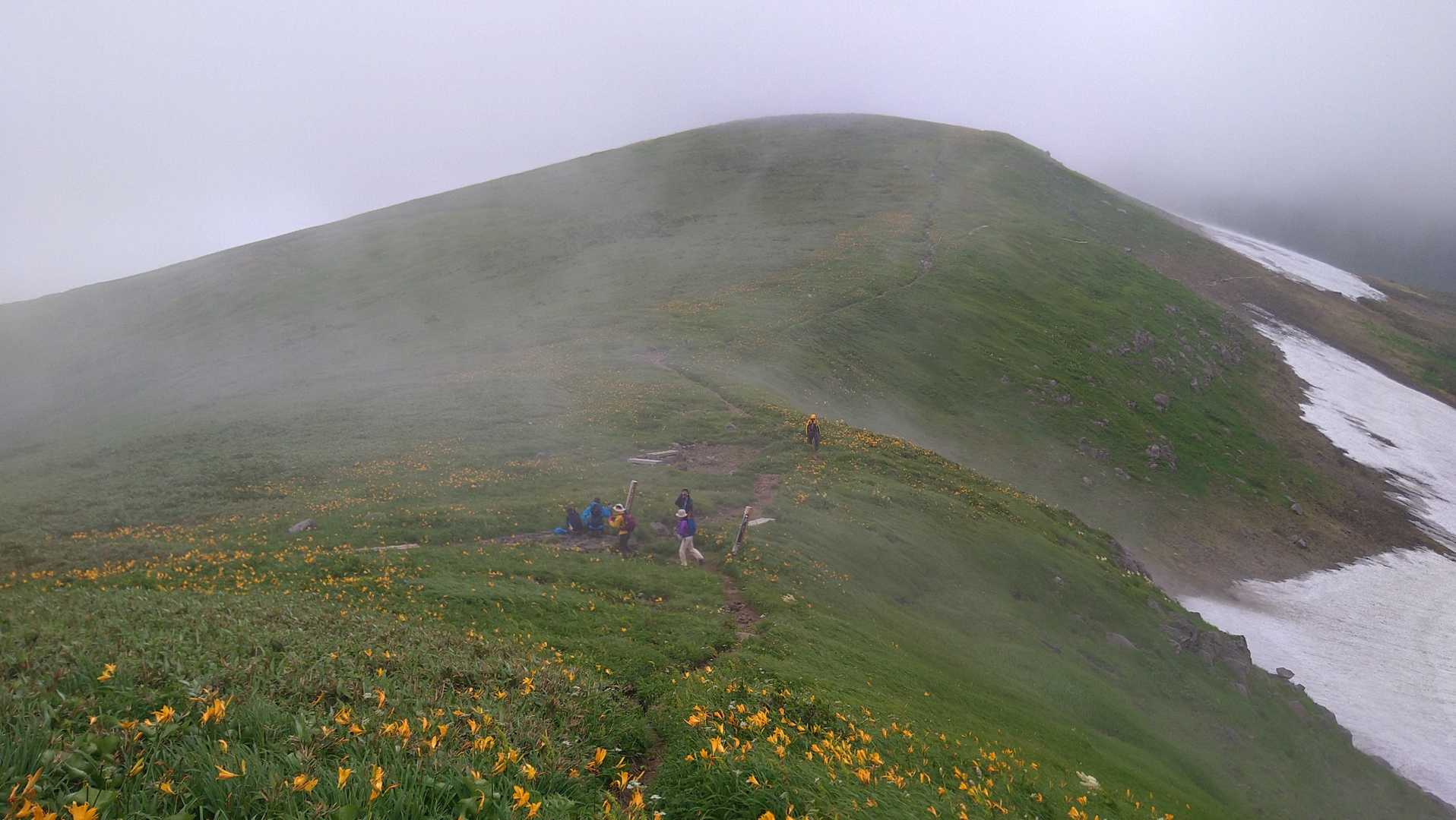 小雨🌂の長坂道分岐でもキスゲ祭り💃
ここで…green.snowさんを探せ🔍