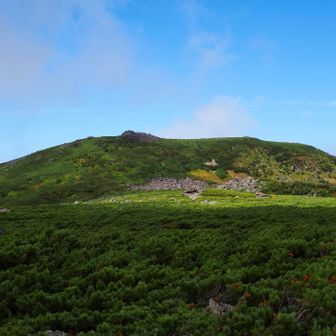 北八ヶ岳の坪庭に似ている