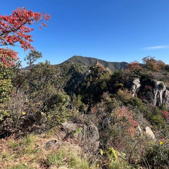 
鷲ヶ頭山方面を振り返る

キツイ登りもあったけど、なかなか楽しかった😆

